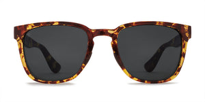 Kaenon Avalon Polarized Sunglasses Tokyo Tortoise