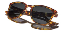 Load image into Gallery viewer, Kaenon Avalon Polarized Sunglasses Tokyo Tortoise