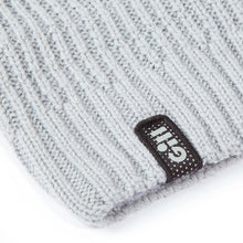Load image into Gallery viewer, Gill Reflective Knit Beanie